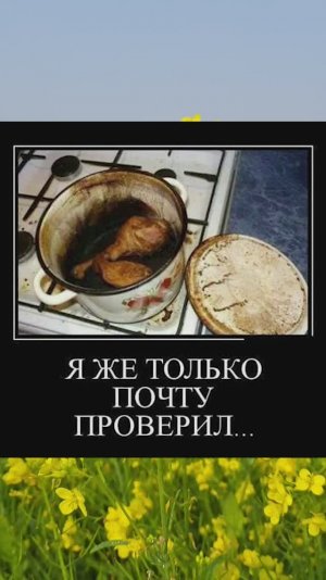 Шучу о почте