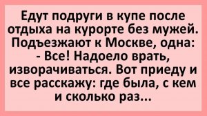 Едут подруги в купе после отдыха на курорте без мужей.... | Анекдоты смешные | Юмор