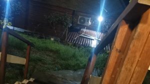 VID_20260504_014335[1]