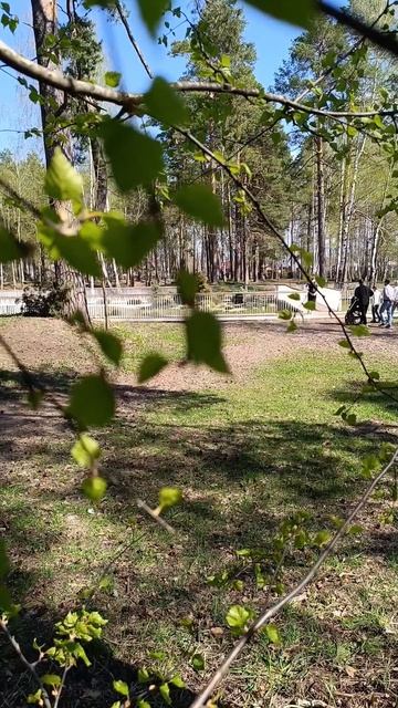 4 мая + 25 🌞👍 смотреть онлайн