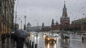 Летняя жара сменится дождями и грозами в Москве к концу недели