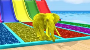 Long Slide Game With Cow Elephant Gorilla Hippopotamus Tiger - 3d Animal Game - Funny 3d Animals_par