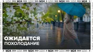 «Черемуховы» холода нагрянут в Москву во второй половине мая - Москва 24