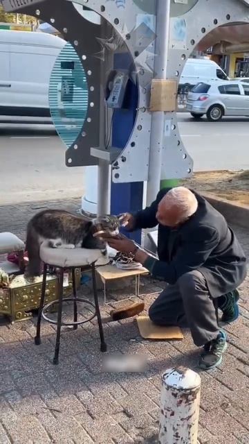 Подпишись