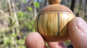 Шкатулка в майском лесу с желтыми первоцветами