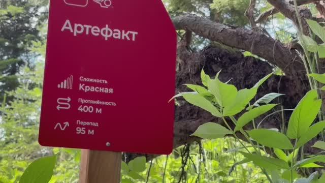 «Трасса „Артефакт“ (красная) в Архызе: видео с горного спуска» | 2025
