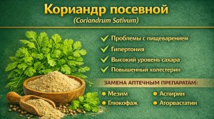 Кориандр посевной (Coriandrum Sativum) - порошок