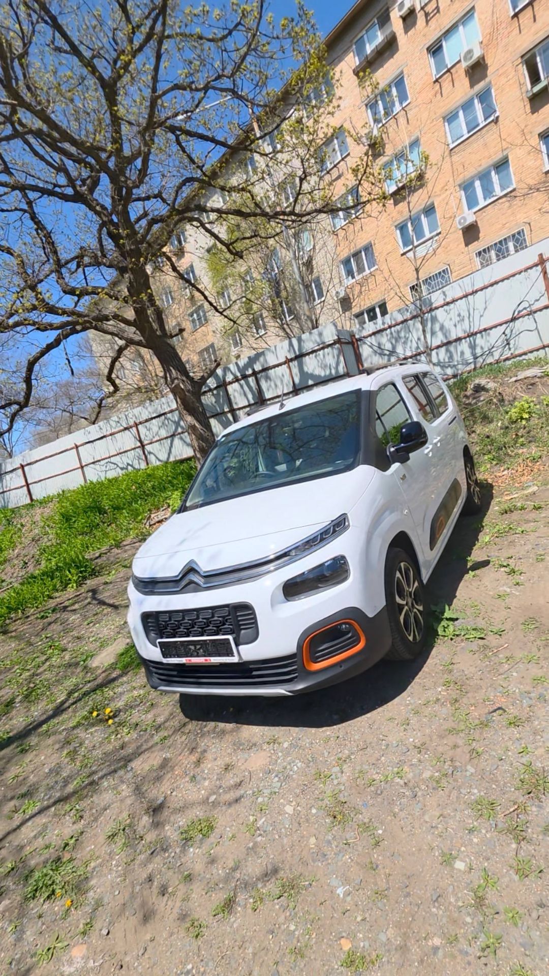 Француз из японии - Citroen berlingo