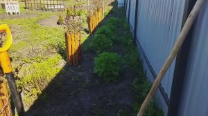 Дела огородные  когда-нибудь закончатся?