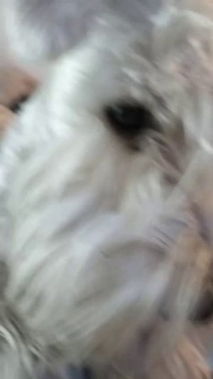 аооа
