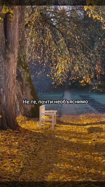 Стихи
