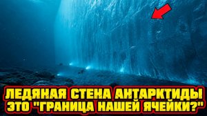 Подводную ледяную стену в Антарктиде сняли на видео и её происхождение остаётся неясным