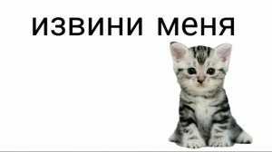 Я снова с вами! Простите за отсутствие