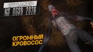 ОГРОМНЫЙ КРОВОСОС ➤ Сталкер NS OGSR #32