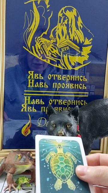 Совет дня от Татьяны Ясной 🐸4мая #новинка#психология#эзотерика#интересное смотреть онлайн