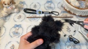 Инструкция по сборке черного котика-брелка с крылышками от Balori (ВБ: 340956328)