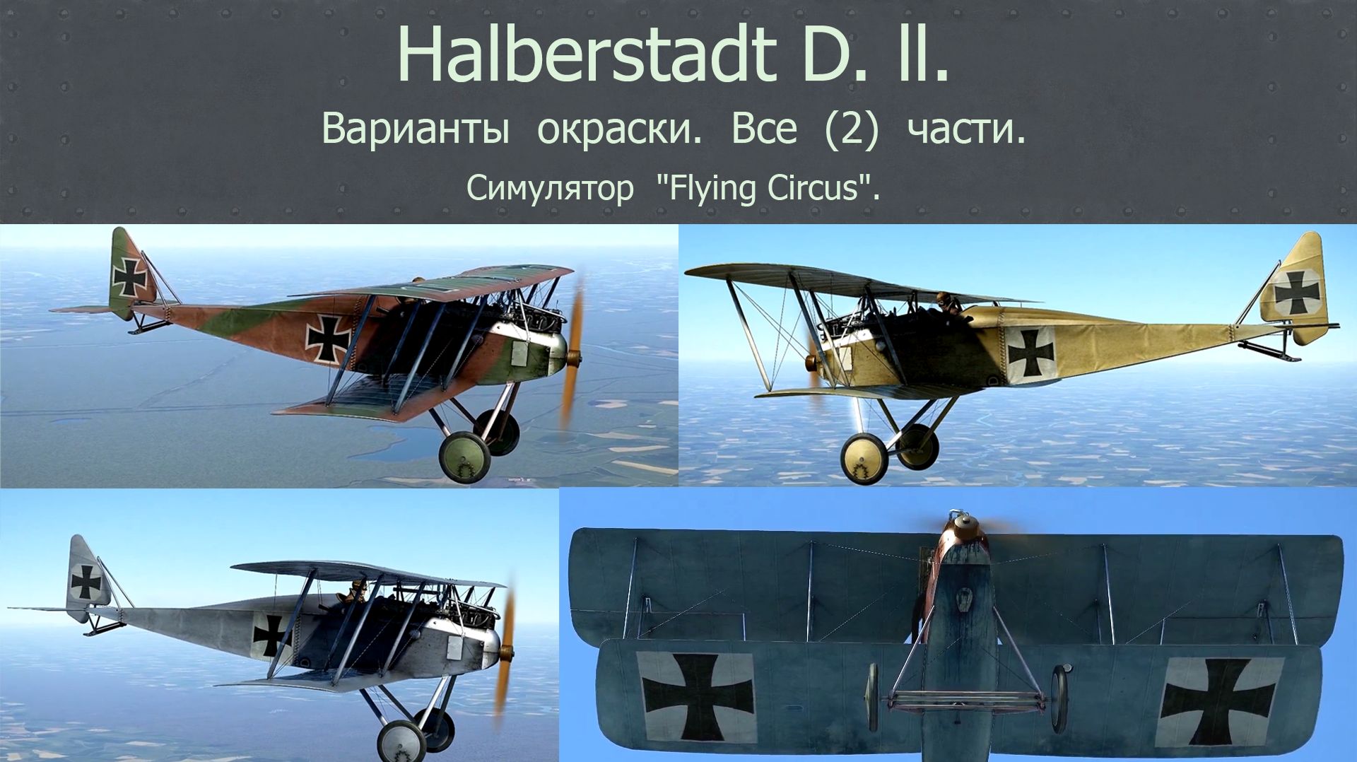 Halberstadt D. ll.  Истребитель (Германия).  Вар. окраски.  Все (2) части.  Сим. "Flying Circus".