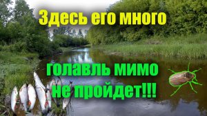 ОТЛИЧНЫЙ КЛЕВ ГОЛАВЛЯ на майского жука в проводку на малой реке. РЫБАЛКА в правильном месте! 25 мая.