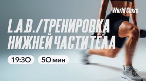 ТРЕНИРОВКА НИЖНЕЙ ЧАСТИ ТЕЛА Анастасией Александровой | 5 мая 2026 | Онлайн-тренировки World Class