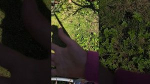 ЛЕТНИЙ влог с Окси:)