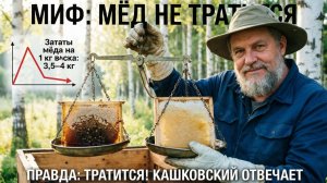 Правда ли, что при отстройке сотов мёд НЕ тратится? Отвечает профессор Кашковский