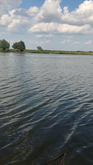 обучение внука поимке карпа