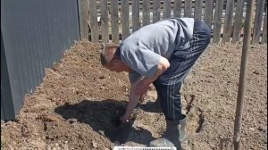 Садим с Вовой картошку