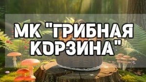 МК «ГРИБНАЯ КОРЗИНА»