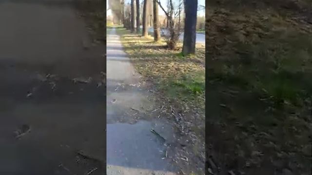 стрим