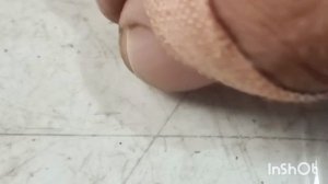 Хвостище 😃