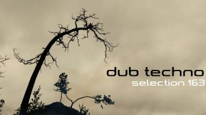 DUB TECHNO || Selection 163 || Static Flow - даб техно сборник