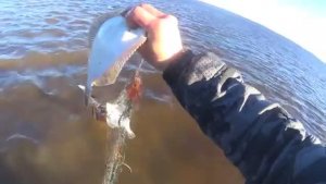 ЕСТЬ РЫБА ЕЩЁ НА БЕЛОМ МОРЕ! ПРОВЕРИЛ СЕТИ НА КОЛЬЯХ И ДОБАВИЛ СЕТКУ!
