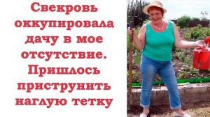 Cвекровь ездила на мою дачу как к себе домой, а я и не подозревала подвоха.