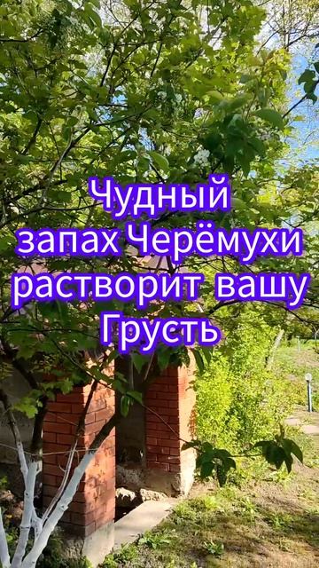 Благодати и радости, Вам🙏от Татьяны Ясной 🐸#новинка#пожелания# интересное, эзотерика, психология, смотреть онлайн