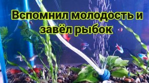 Мой аквариум.