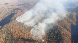 Специальные мобильные приложения помогают обнаруживать очаги возгорания в Амурской области