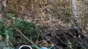 💥Бои в Сумской области: поражение гаубицы украинских националистов