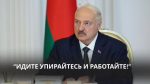 Лукашенко: «Надо заставлять работать руководителя! Пришёл? Делай!»