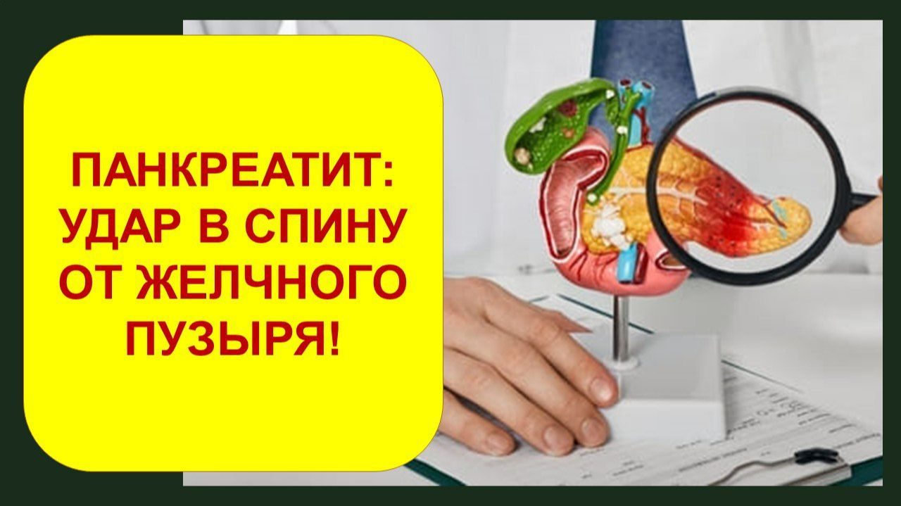 Панкреатит: удар в спину от желчного пузыря.