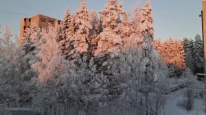 Зарядка с Алисой)))