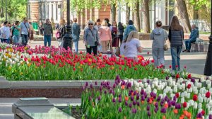 В Совфеде предложили сократить новогодние выходные в пользу майских