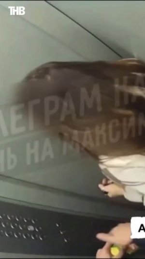 МВД дало первый комментарий по дикому избиению женщины в лифте Казани