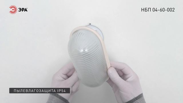 Светильник ЭРА НБП 04-60-002