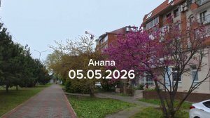 Анапа 05.05.2026