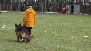 05-02-2026_ЧР по БРР Группа Б Третий участник 1 этап