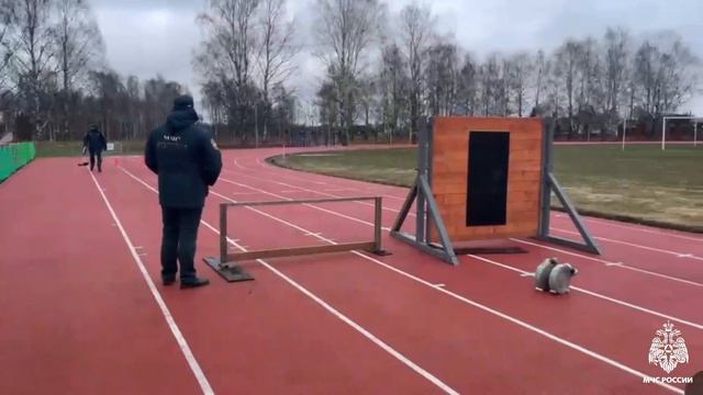 В Великом Устюге состоялись соревнования по пожарно‑спасательному спорту среди школьников округа смотреть онлайн