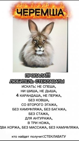 Черемша пропал :(