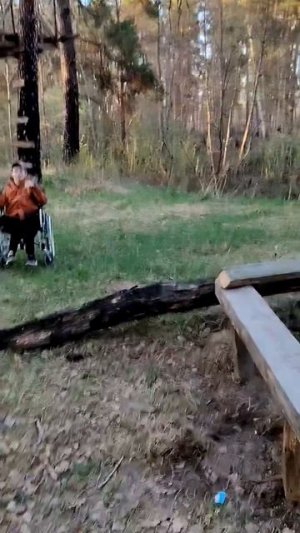 зайцы лоси