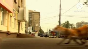 Реклама ростик’с (Водская / Петссия 5.05-20.07.2026)