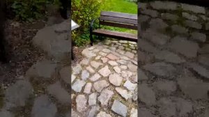 Мы идём в зоопарк